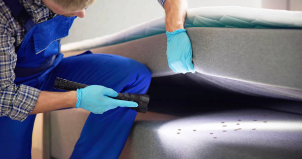 Best Commercial Pest Control Services  in Potomac Heights, MD